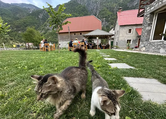 Bujtina Vellezerit Grrela
