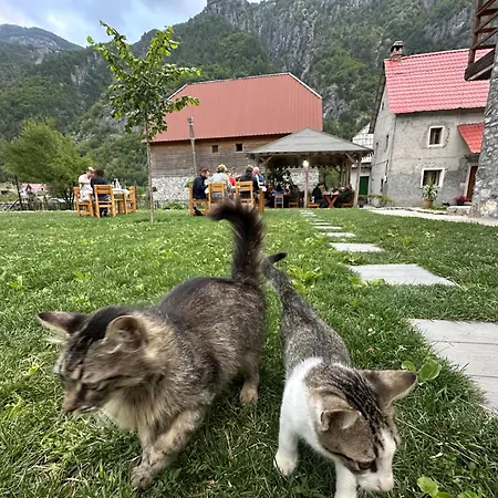 Bujtina Vellezerit Grrela